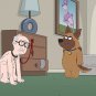 Paradise PD - Complete Series