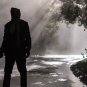 The Strangers Movie Collection
