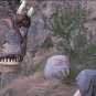 Dragonheart Movie Collection