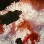 Piranha Movie Collection