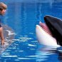 Free Willy Movie Collection