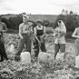 Land Girls - Complete Series