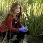 Rizzoli & Isles - Complete Series