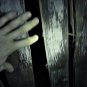 Blair Witch Movie Collection
