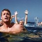 Open Water Movie Collection