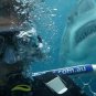 Open Water Movie Collection