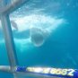 Open Water Movie Collection
