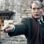 Fantastic Beasts Movie Collection