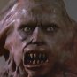 Basket Case Movie Collection