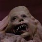Basket Case Movie Collection