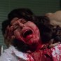 Basket Case Movie Collection