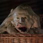 Basket Case Movie Collection