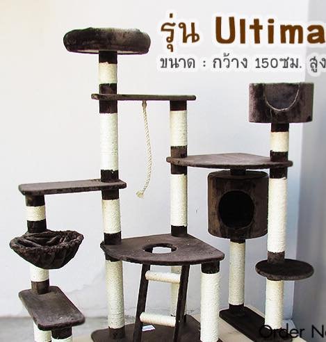 Cat Tower