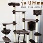 Cat Tower