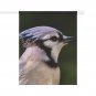 Decorative House Flag Blue Jay House Flag, Bird House Flag, Size 24.5'' × 32''