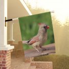 Decorative House Flag Cardinal Bird Size 24.5'' × 32'' Female Cardinal
