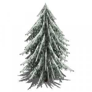Pine tree