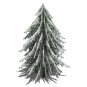 Pine tree