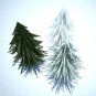 Pine tree
