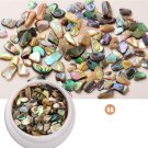 Colorful Shell Fragments Nail Art Decorations Ornaments Champagne