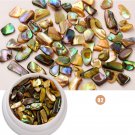 Colorful Shell Fragments Nail Art Decorations Ornaments Gold