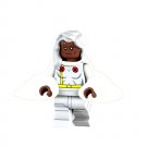 Storm Minifigure UPSP Tracking