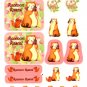 Venice Japan raccoon rascal sticker sheet