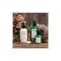 Natural, Non-GMO Forest Tyme Scented Unisex  Shea Butter Body Lotion