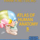 Atlas of Human Anatomy by Netter-the fifth edition-digital version-pdf