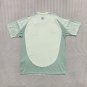 2025  Mexico away Soccer Jersey