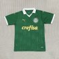 2025  Palmeiras  Home Green Fans Soccer Jersey