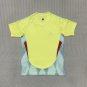 2025  Spain away national team Soccer Jersey