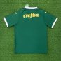 2025 SE Palmeiras soccer jersey