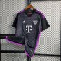 2025  bayern munich away jersey