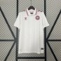 2025  denmark away jersey