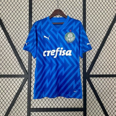 2025  goalkeeper palmeiras jersey