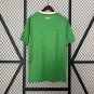 2025  ireland jersey home