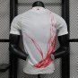 2025  japan special edition jersey