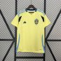 2025  jersey sweden home