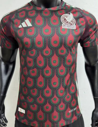 2025  mexico away jersey