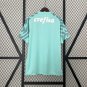 2025  palmeiras goalkeeper jersey