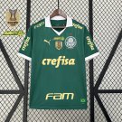 2025  palmeiras jersey home new