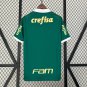 2025  palmeiras jersey home new