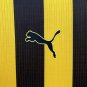 2025  pe&Atilde;&plusmn;arol jersey home new