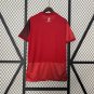 2025  poland away jersey