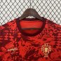 2025  portugal jersey training wear red