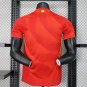 2025  spain jersey home new
