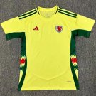2025  wales away jersey