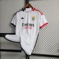 2025 benfica jersey away soccer jersey
