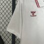 2025 denmark away fans jersey